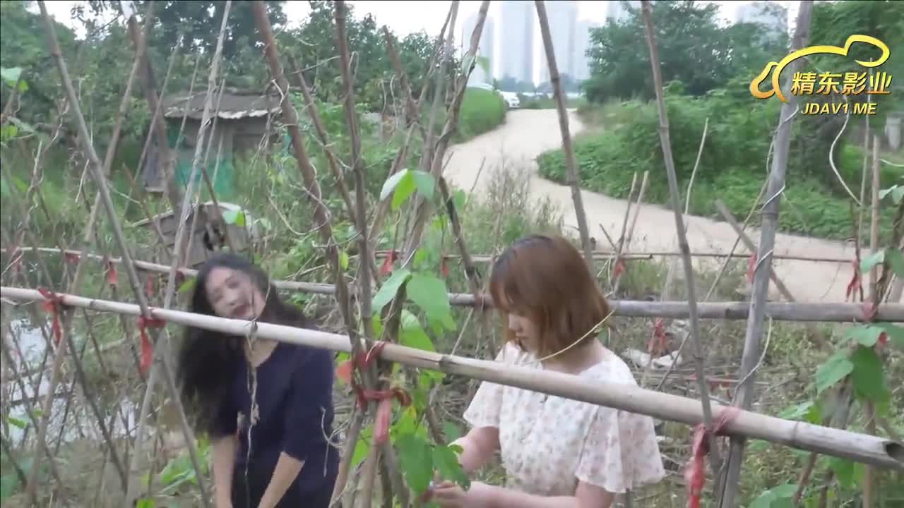 JD065東北往事之白虎